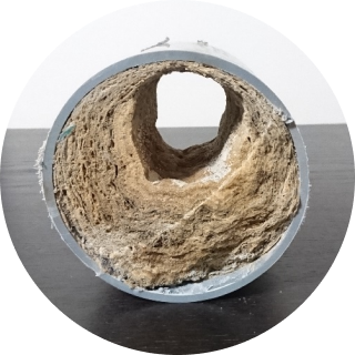 エフロ詰まりが起こった配管の断面図の写真